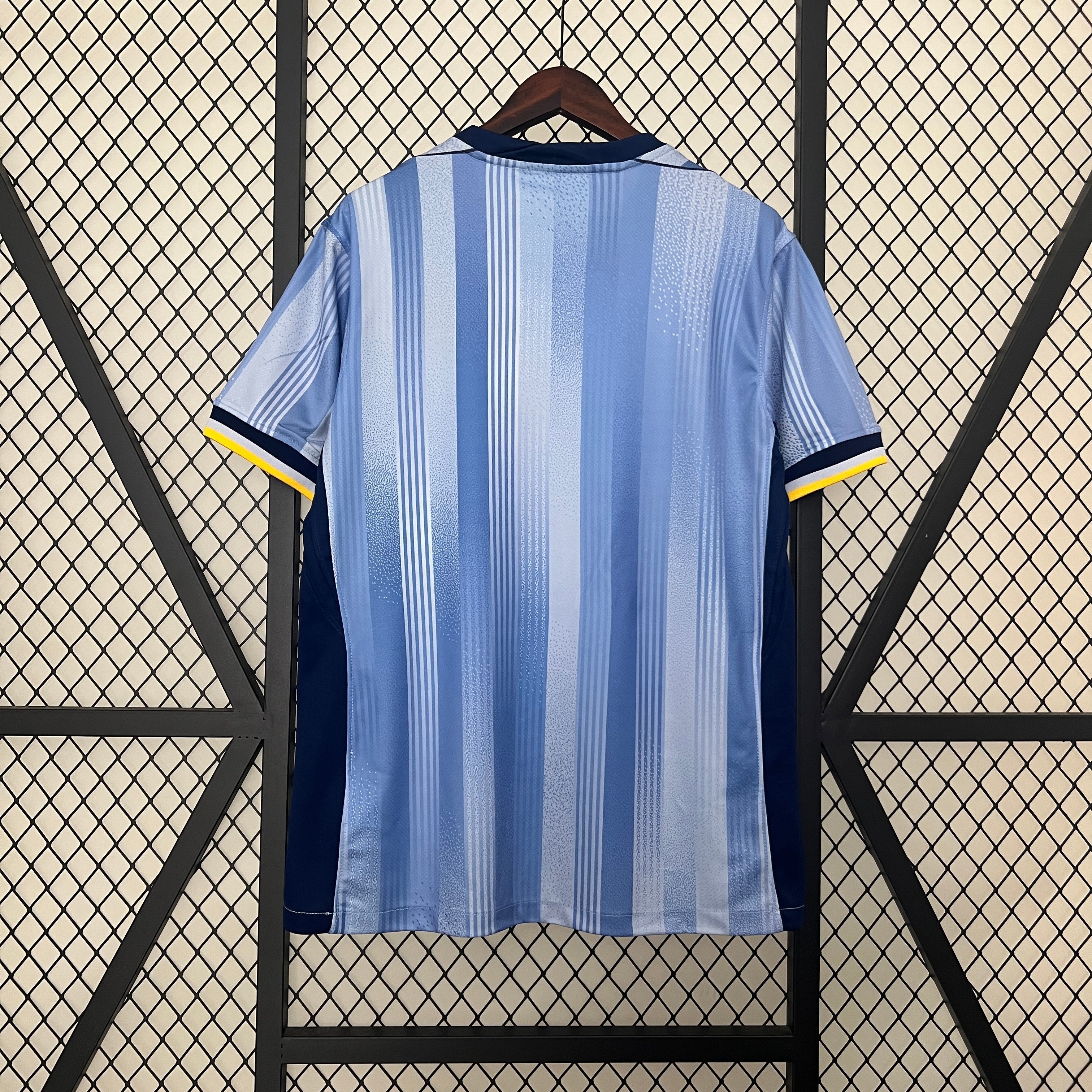 2024/2025 Tottenham Away Soccer Jersey